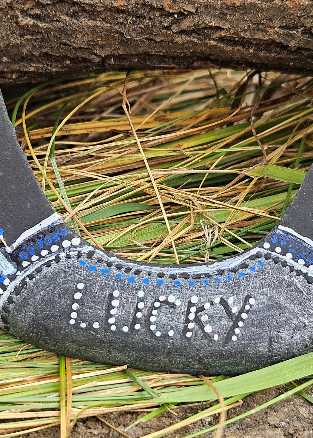 Horseshoe Lucky 6